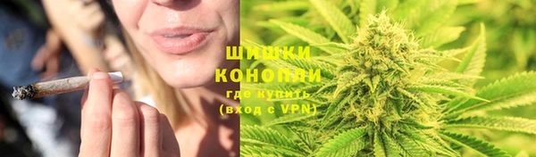 spice Алзамай