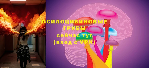 spice Алзамай