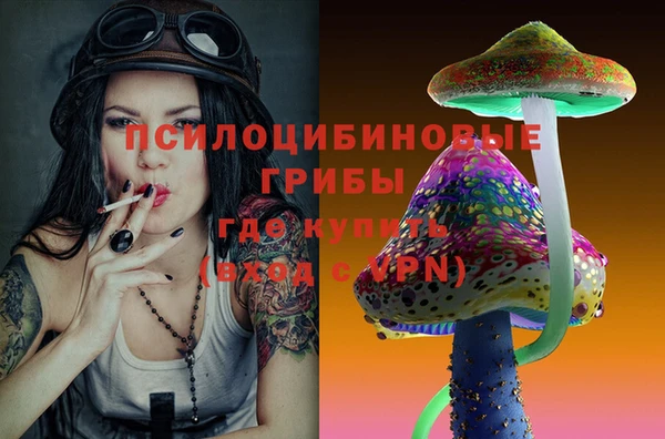 spice Алзамай