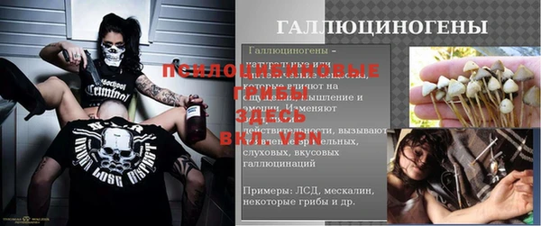 таблы Приозерск