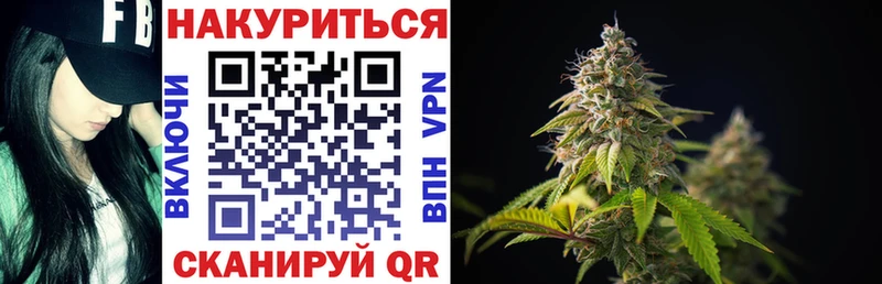 Шишки марихуана семена  Сосновый Бор 